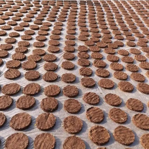 Cow Dung Cakes